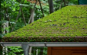 Extend Commercial Roof Lifespan with Effective Liquid Coatings: A Guide