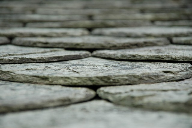 roof coatings services