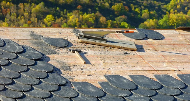 roof inspection service