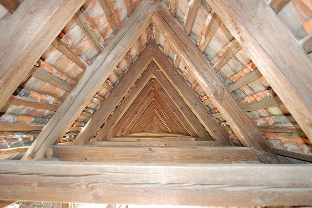 roof inspection service company