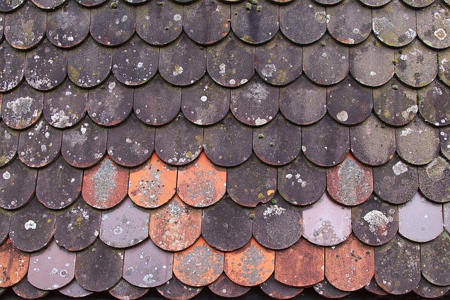 Certified Roof Inspections: Essential Business Compliance Service