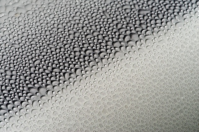 scent-free carpet clean