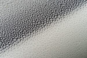 Citrus Bright: Natural Odour Removal for Fresh Carpet Care