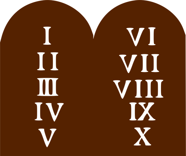 Schema for Law Firms