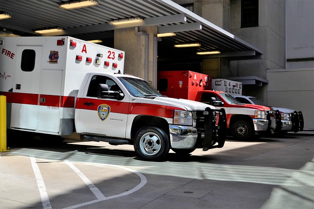 Schema for Medical Services