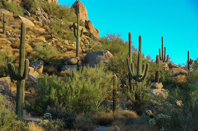 Scottsdale kickboxing