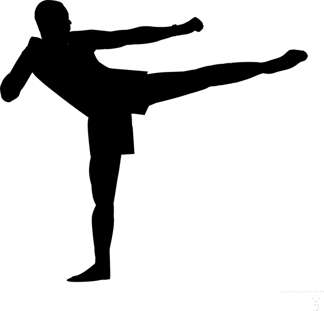 Scottsdale kickboxing gym