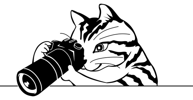 Scottsdale medical office coverage