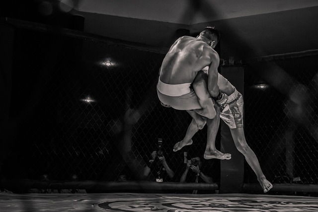 Scottsdale MMA classes