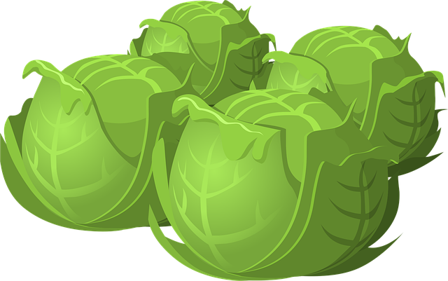 semaglutide-diet-program-640x480-13783074.png