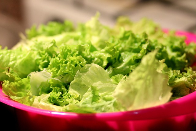 semaglutide diet program