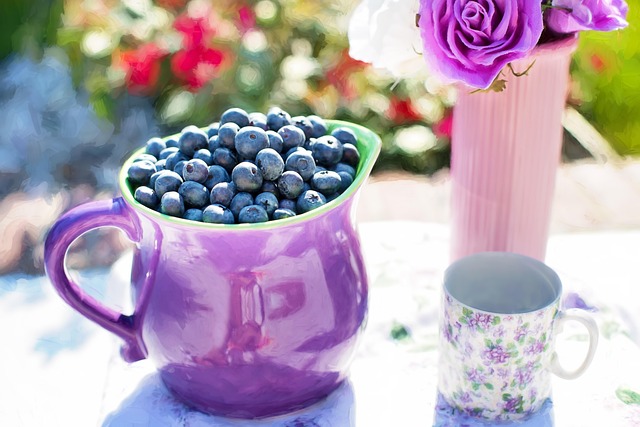 semaglutide diet program