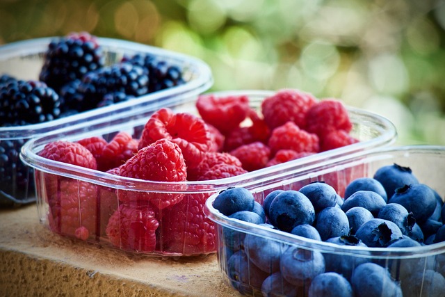 semaglutide diet program