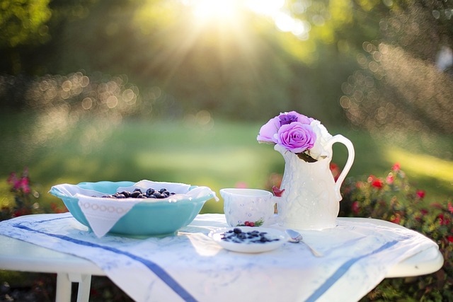 semaglutide diet program