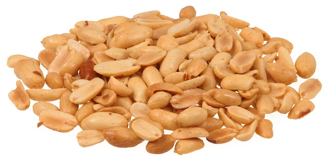 semaglutide diet program