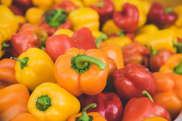 semaglutide diet program