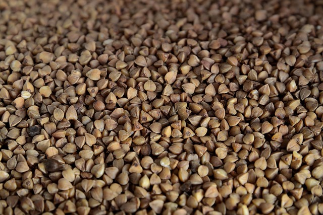 semaglutide diet program