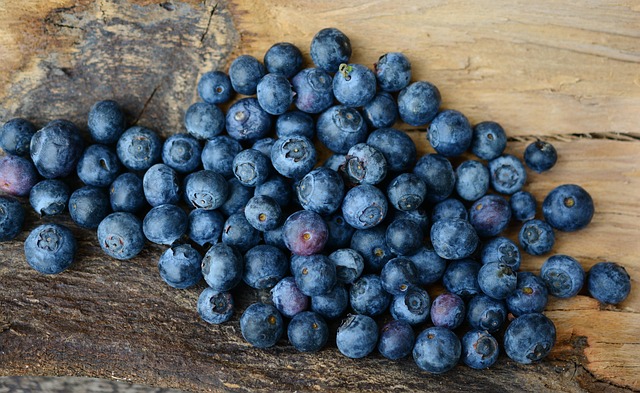 semaglutide diet program