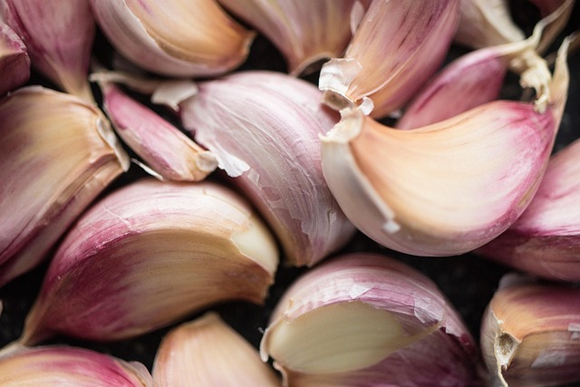 Remote Monitoring Transforms Semaglutide Diet Success