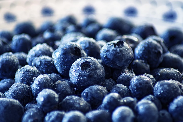 semaglutide diet program