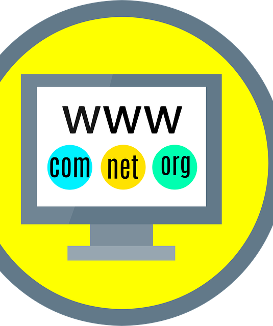 SEO Bootcamp