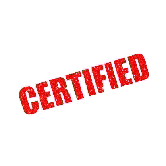 SEO Certification Program