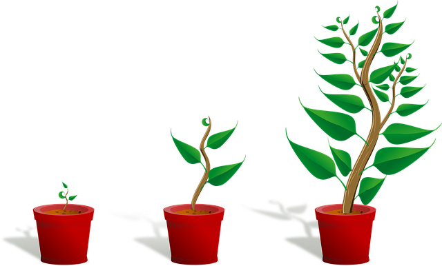 SEO-friendly site development
