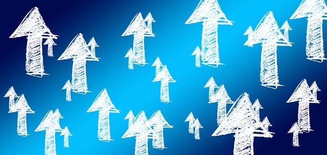 SEO Growth Strategies