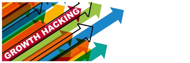 SEO Growth Strategies