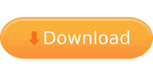 Master Internal Links: SEO Plugin Guide for Beginners