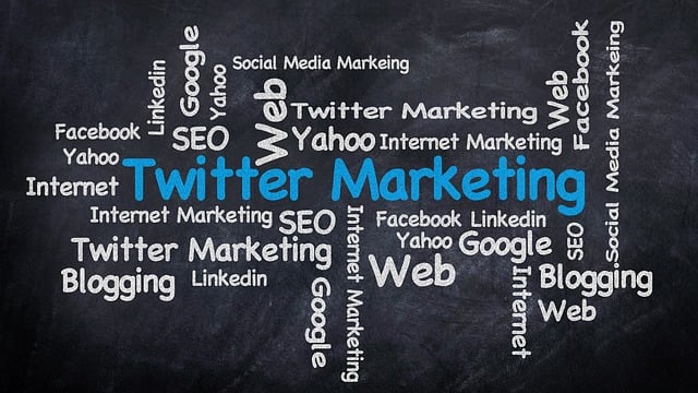 SEO Online Training