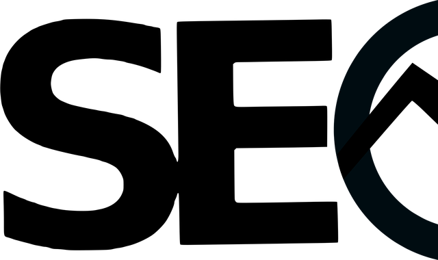SEO web design experts