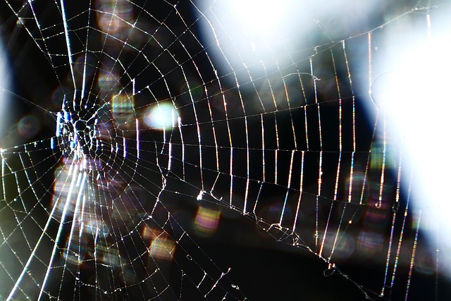 SEO web structure