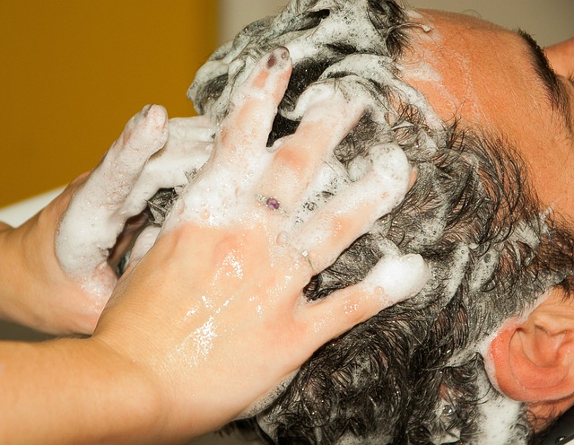 shampoo carpet service