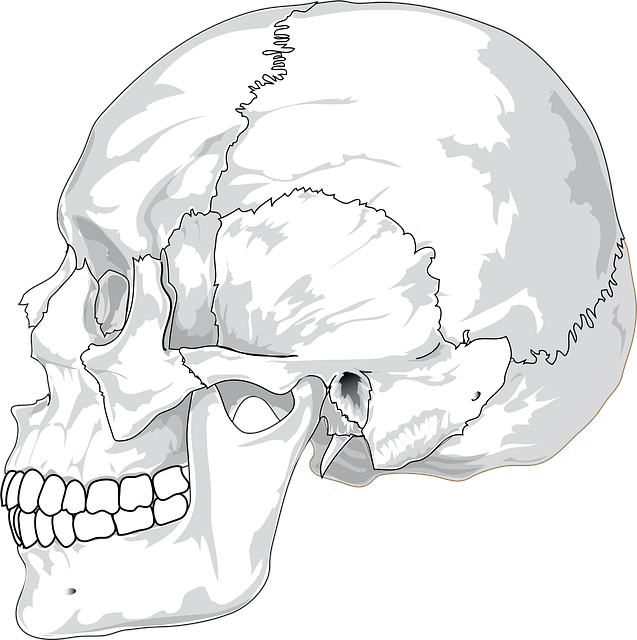 side effects of semaglutide