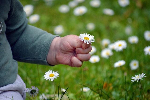 Small Business Insurance