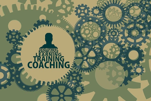 Small Business SEO Training