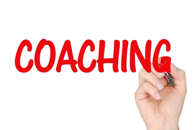 Small Business SEO Training