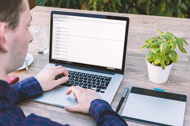 small business web designers