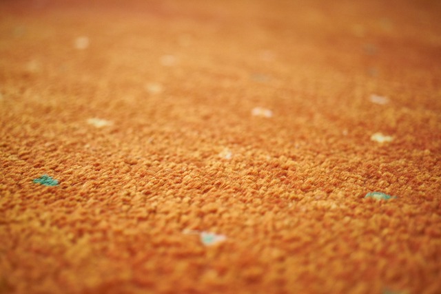 Green Carpet Odor Removal: Freshen Your Home Naturally