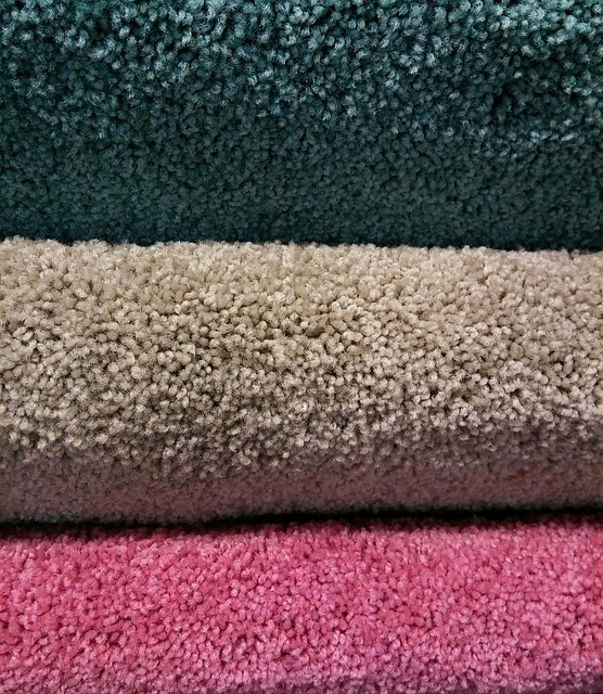 soft carpet shampooing