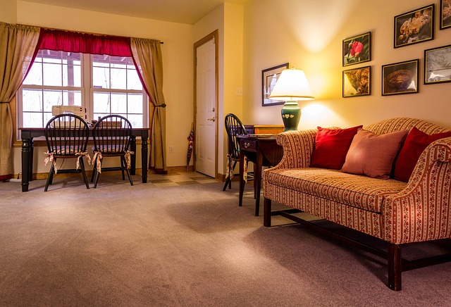 soft carpet shampooing
