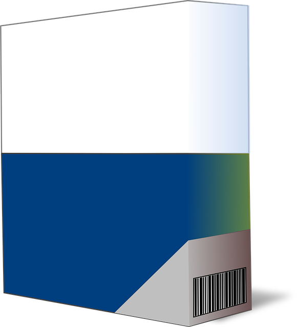 software support accounting