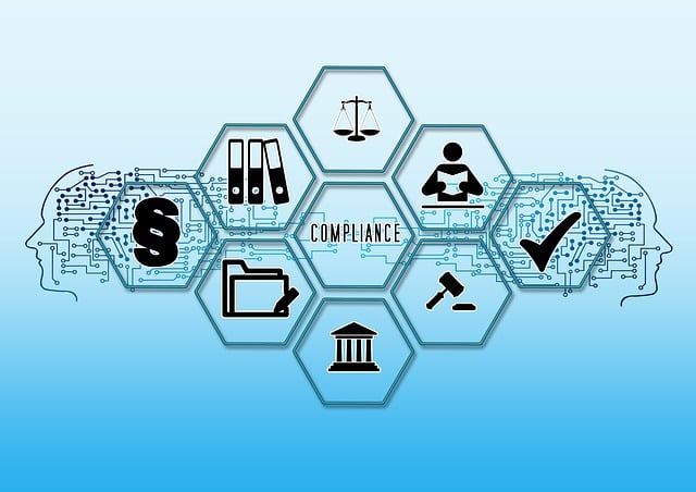 SOX compliance accountants