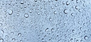 Citrus Bright: Eco-Friendly Carpet Cleaners in Chandler for Allergy-Free Homes
