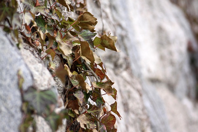 Stem Wall Repair