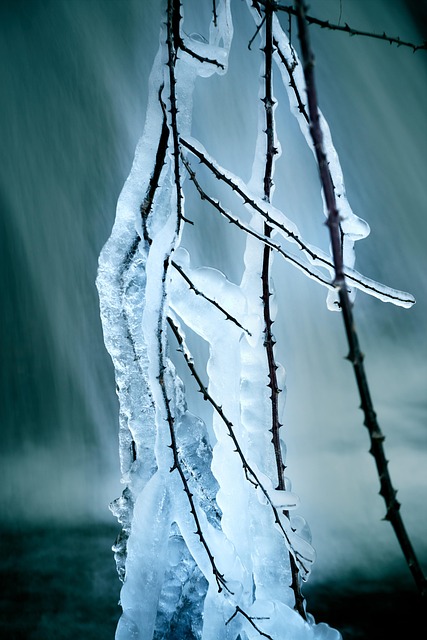 stomach fat freezing