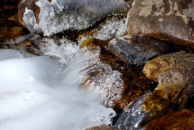 stomach fat freezing