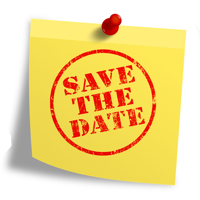 strategic IT planning CPAs