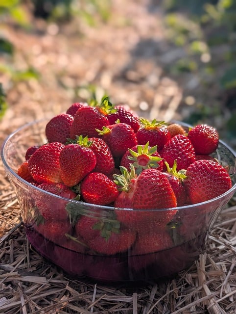 Strawberry Rosin Gummies